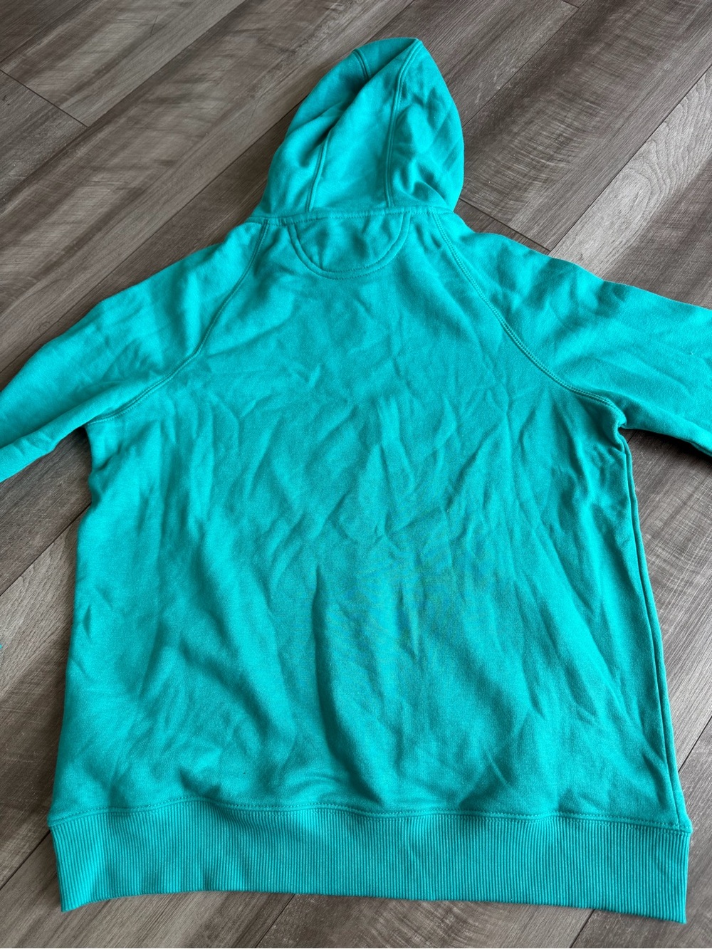 NWT Carhartt Women's Teal Force Relaxed Fit Lightweight Graphic Hoodie Size M - Picture 4 of 5